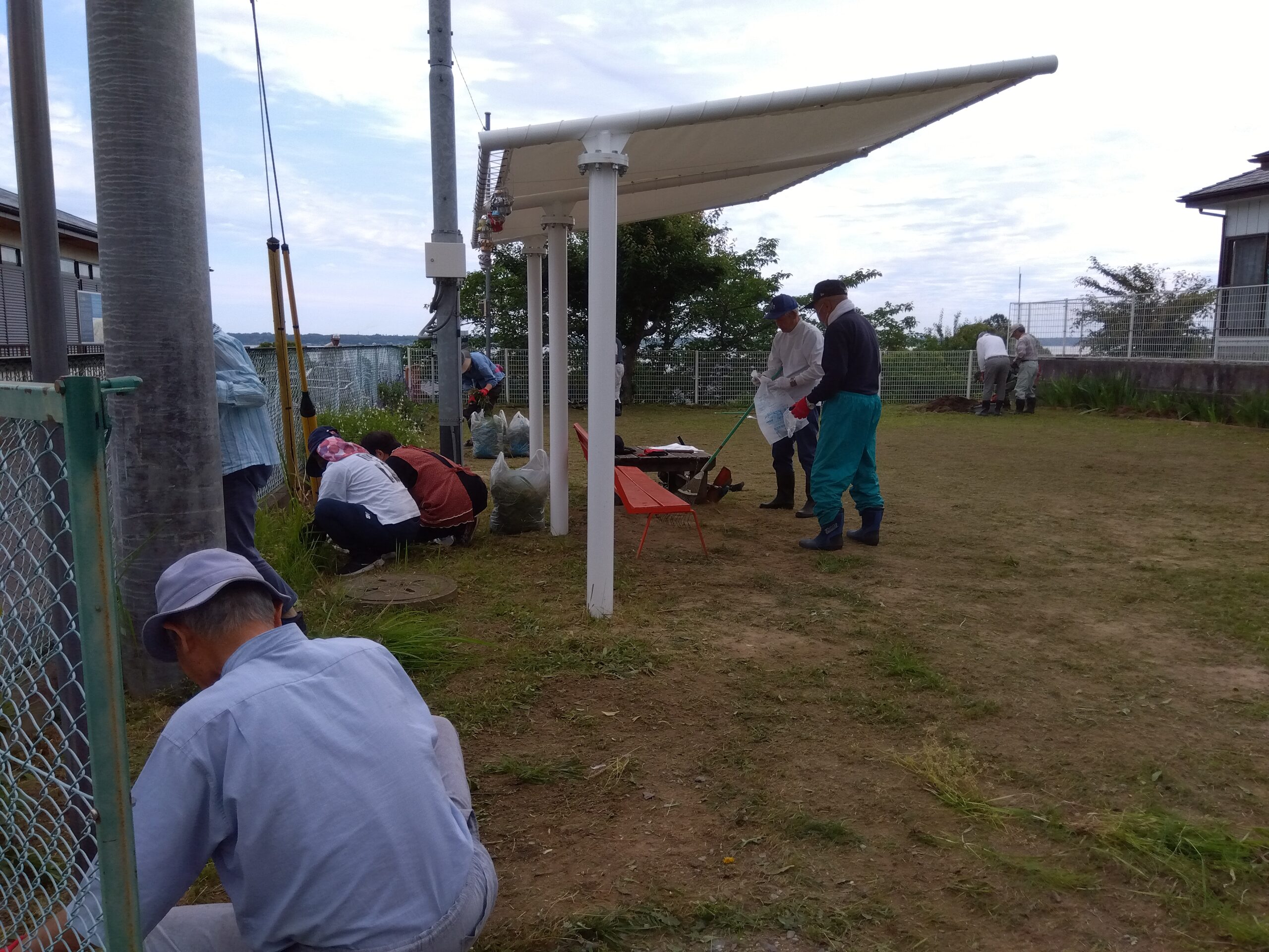 2024.5.25 台山公園整備活動報告